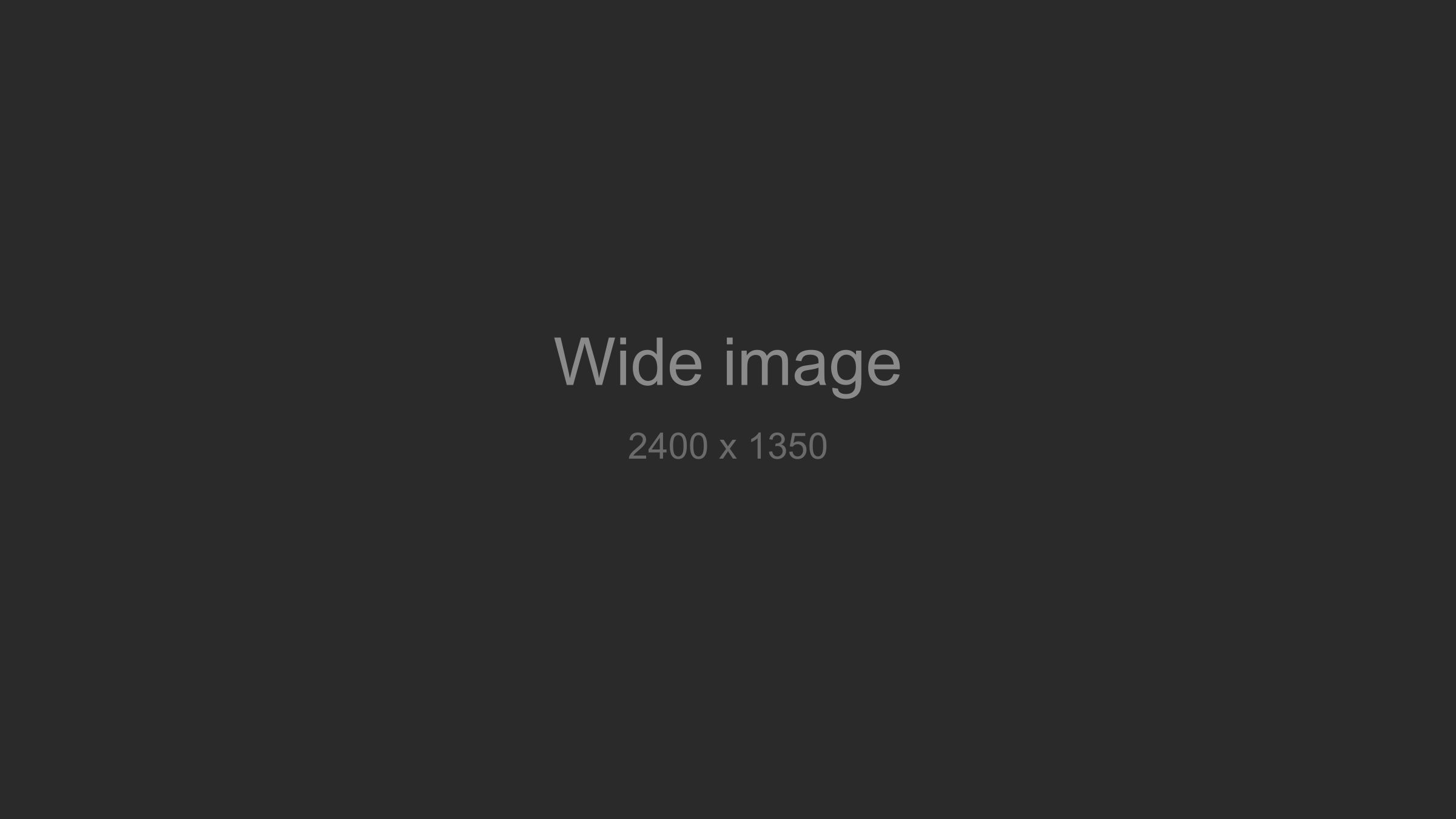 Describe what the image shows